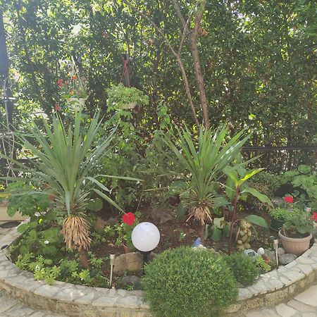 Studio Apartment Dramalj Εξωτερικό φωτογραφία