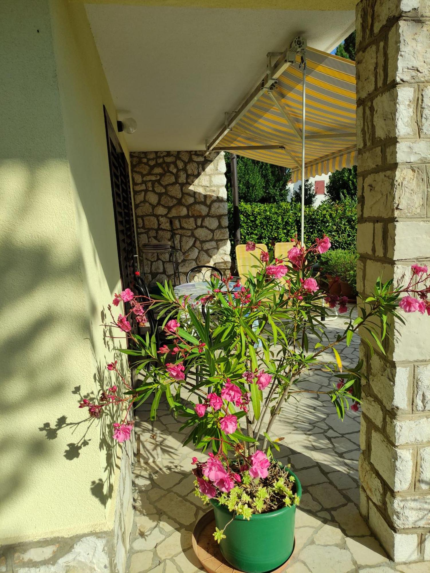 Studio Apartment Dramalj Εξωτερικό φωτογραφία